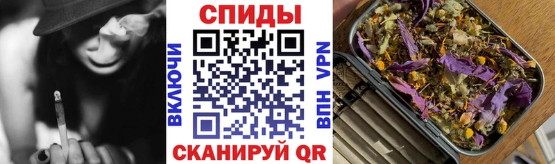 как найти   Дрезна  блэк спрут онион  БУТИРАТ оксана 