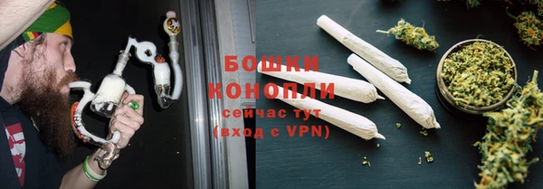 молекула духа Вязьма