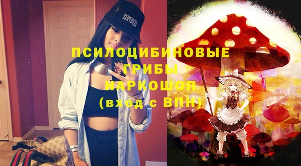 крисы Вязники