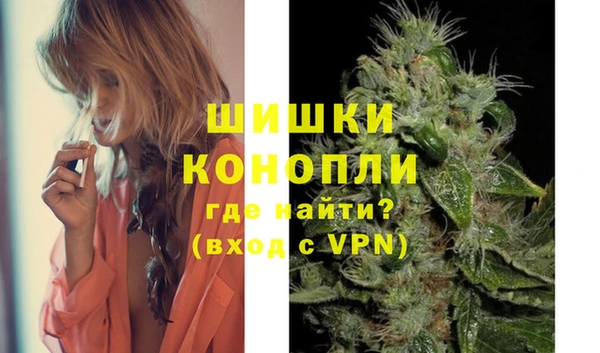 молекула духа Вязьма
