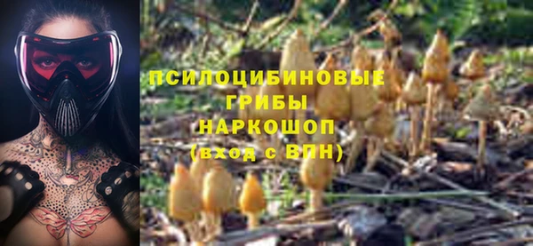 крисы Вязники