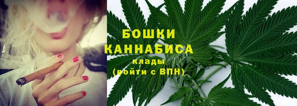 PSILOCYBIN Верхний Тагил