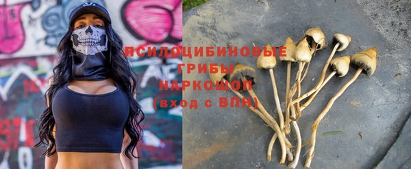 PSILOCYBIN Верхний Тагил