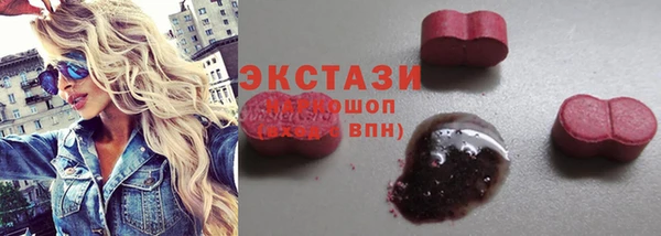 сатива Вяземский