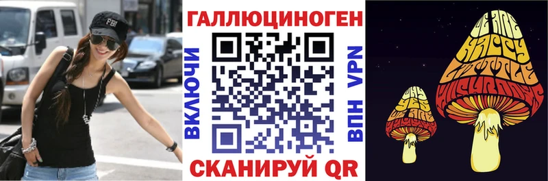 Галлюциногенные грибы мицелий  Дрезна 